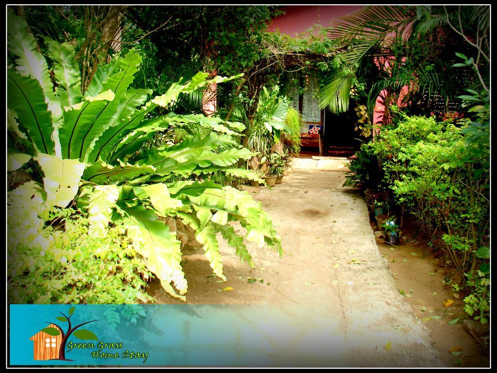 Green Grass Homestay Sigiriya Habitación foto