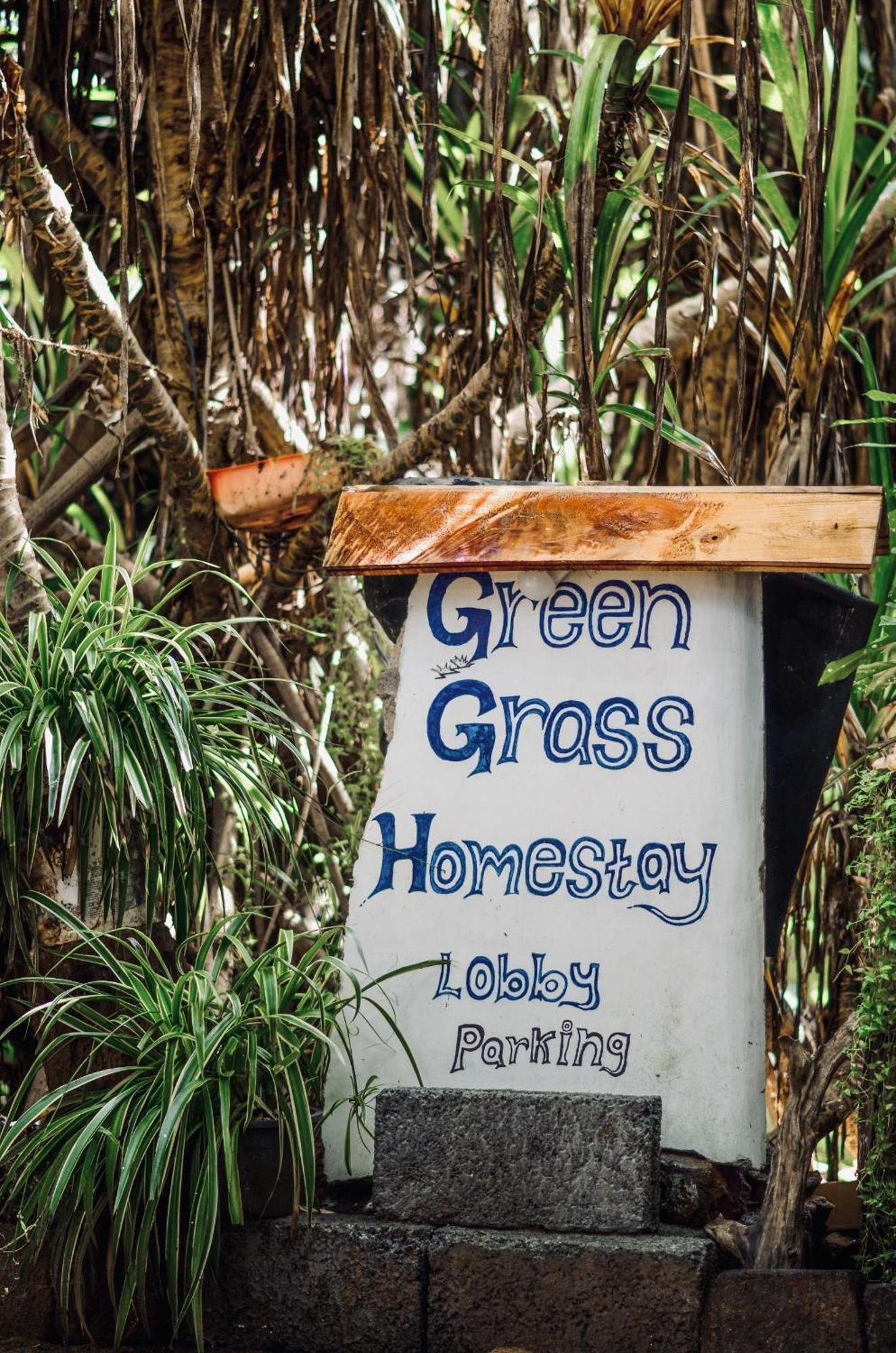 Green Grass Homestay Sigiriya Exterior foto